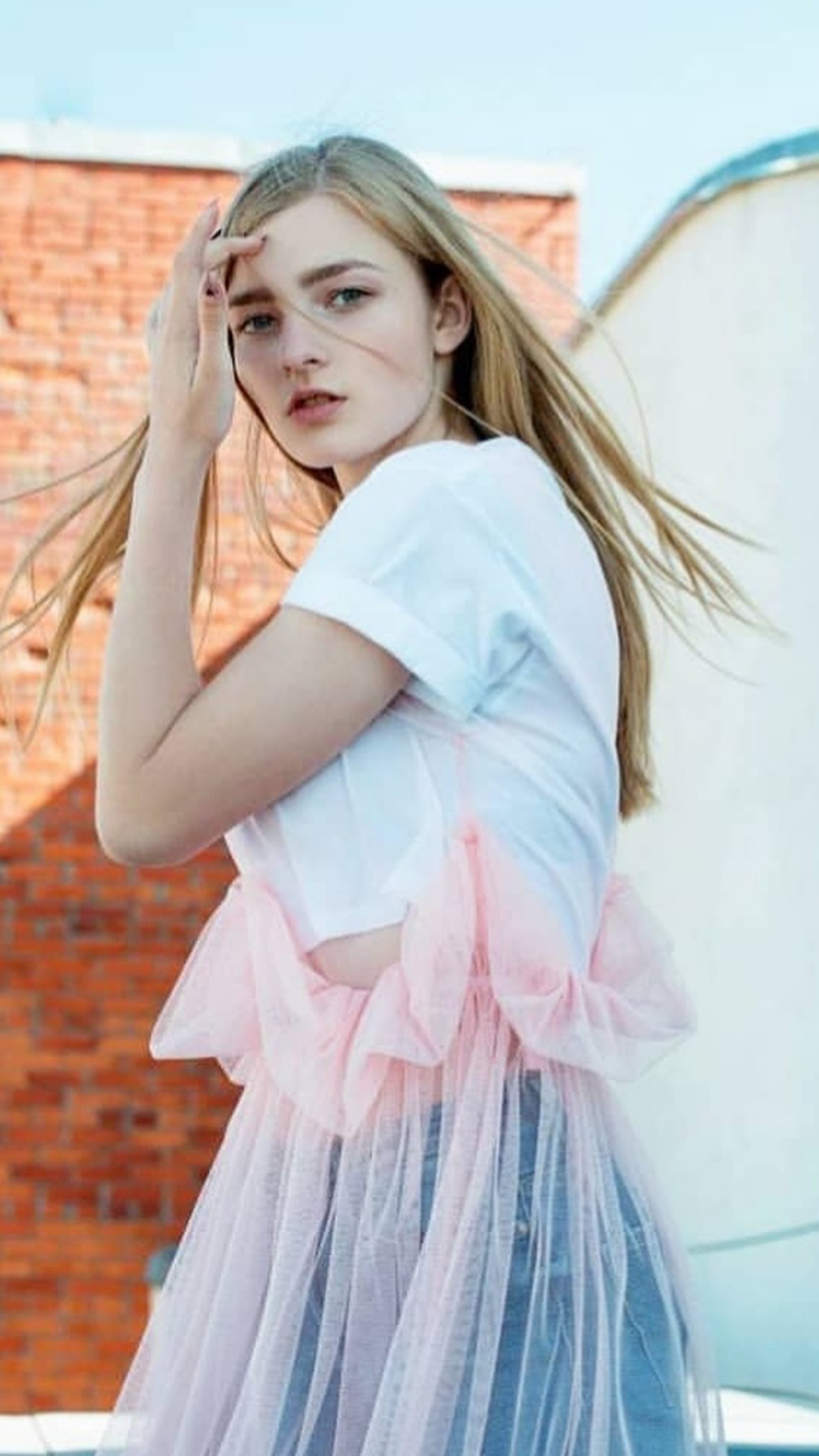 Sheer mesh dress
